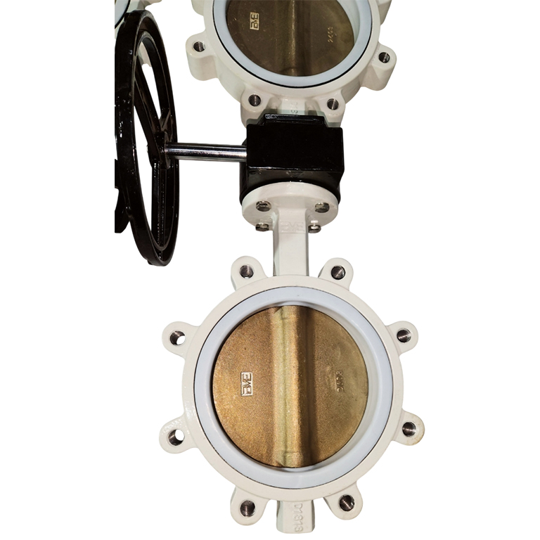 butterfly-valve